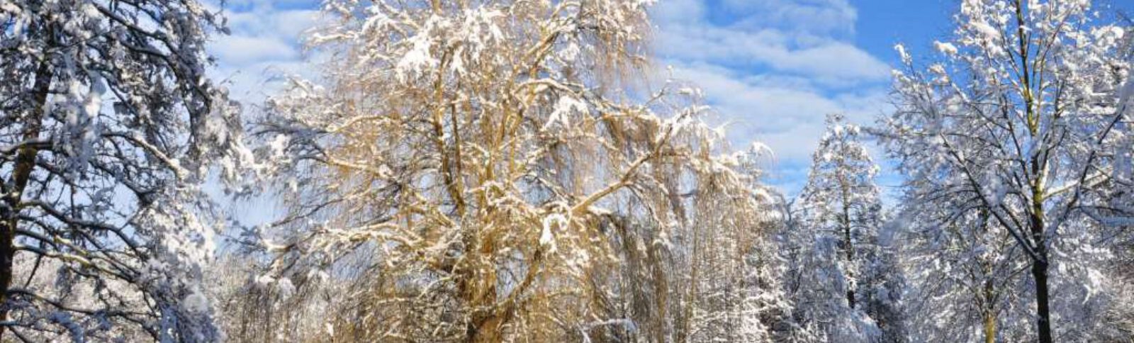 Petra Giesecke Fotografie